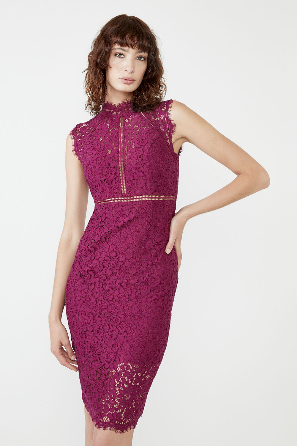 Bardot embroidered lace dress top