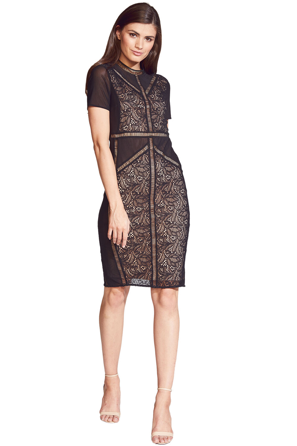 Bardot elise lace dress new arrivals