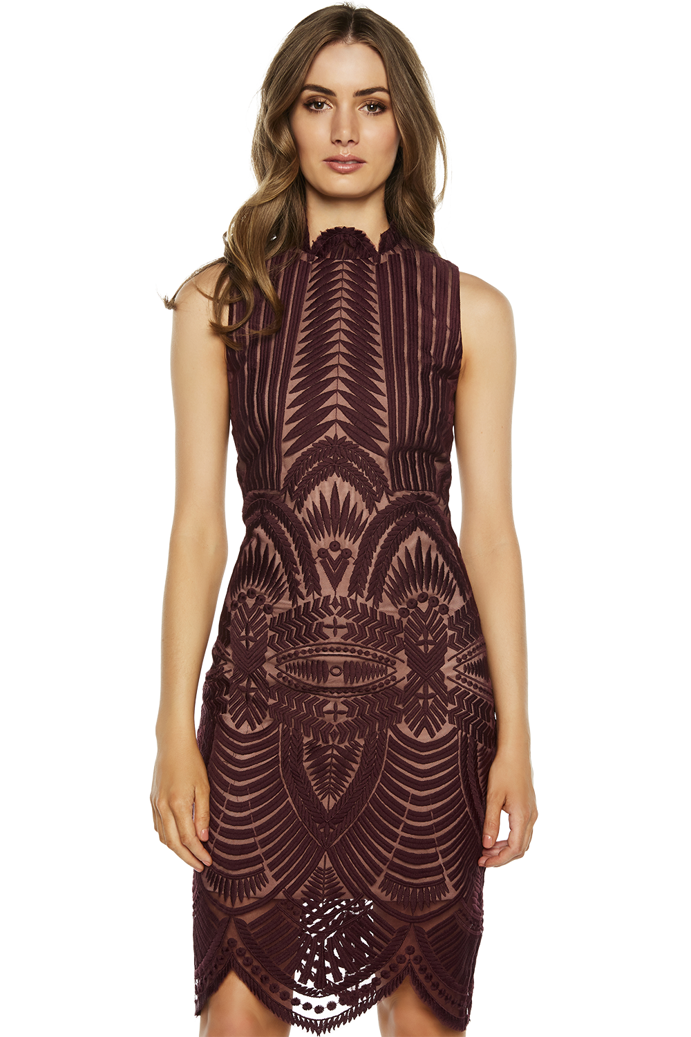 Bardot alice lace dress clearance