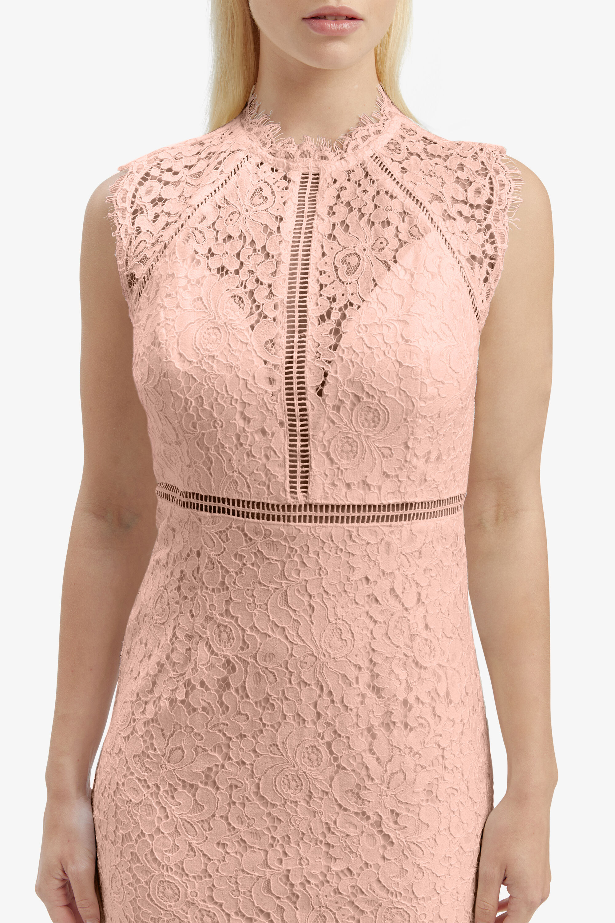 Lace Panel Dress In Pale Blush Bardot