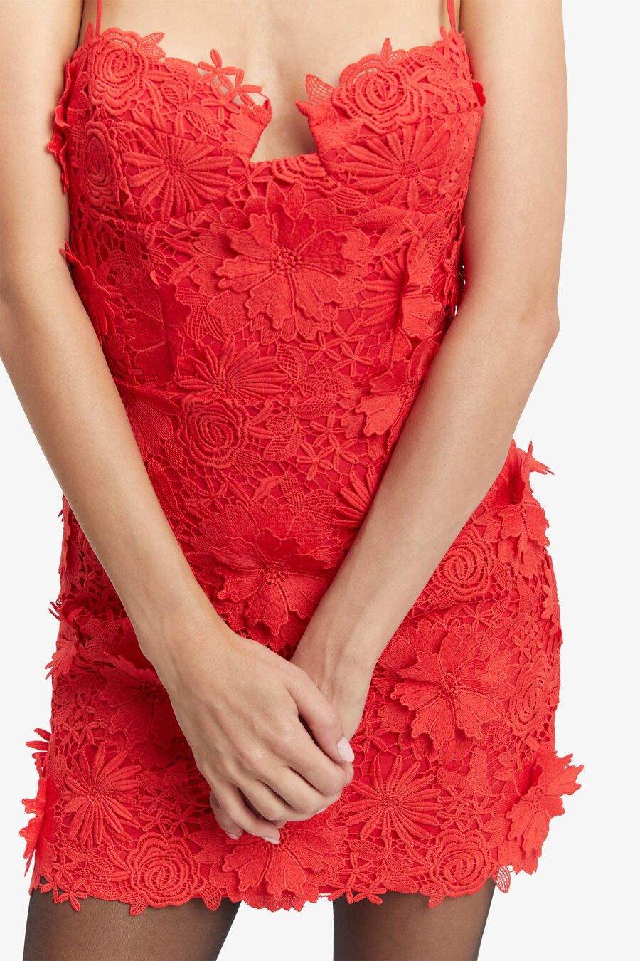 Brias Lace Mini Dress