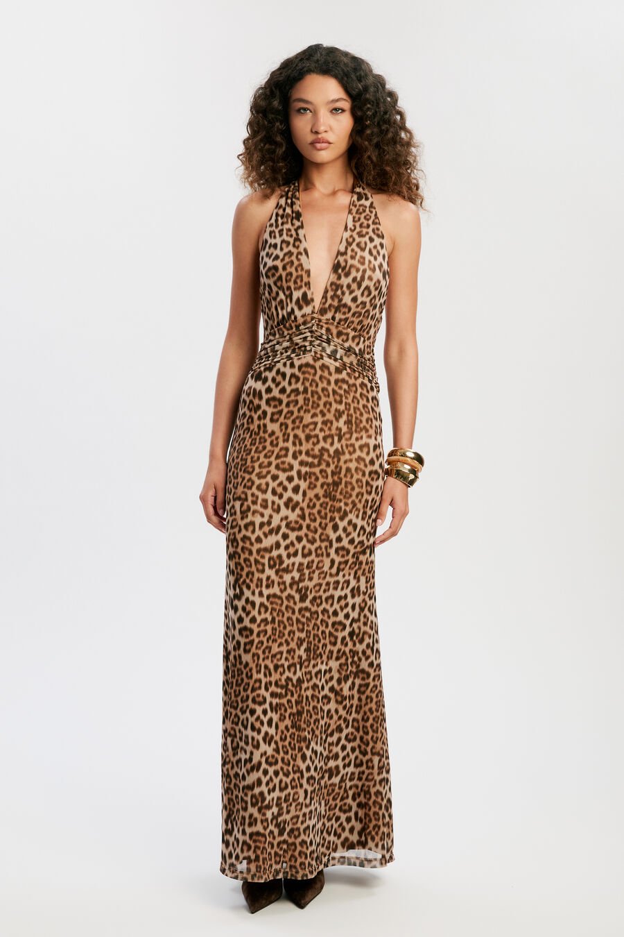 Elera Printed Mesh Maxi Dress