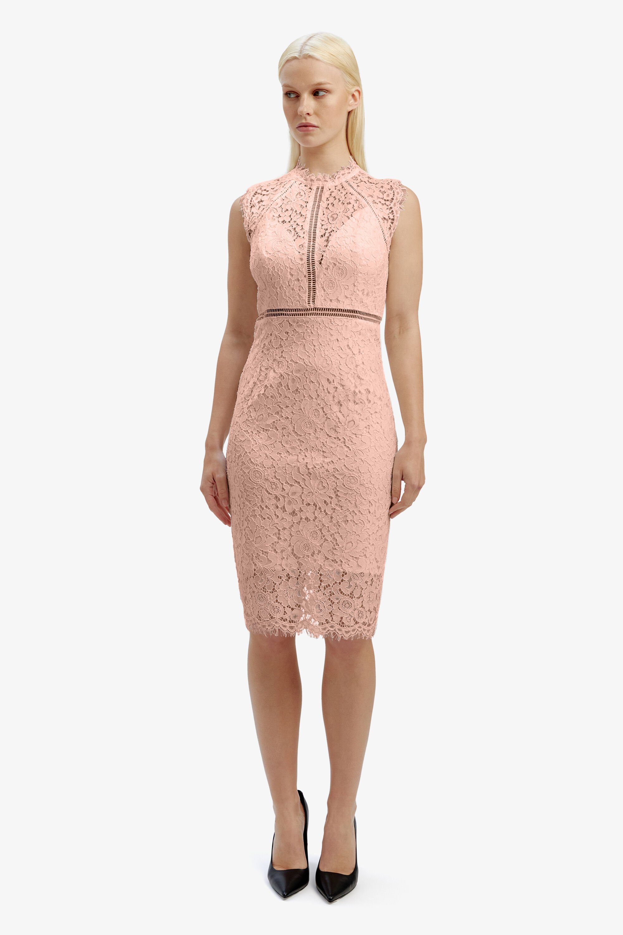 Lace Panel Dress In Pale Blush Bardot