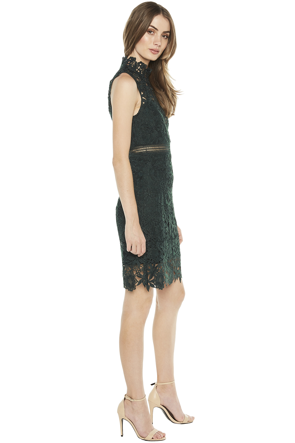 Bardot lace dress nordstrom on sale