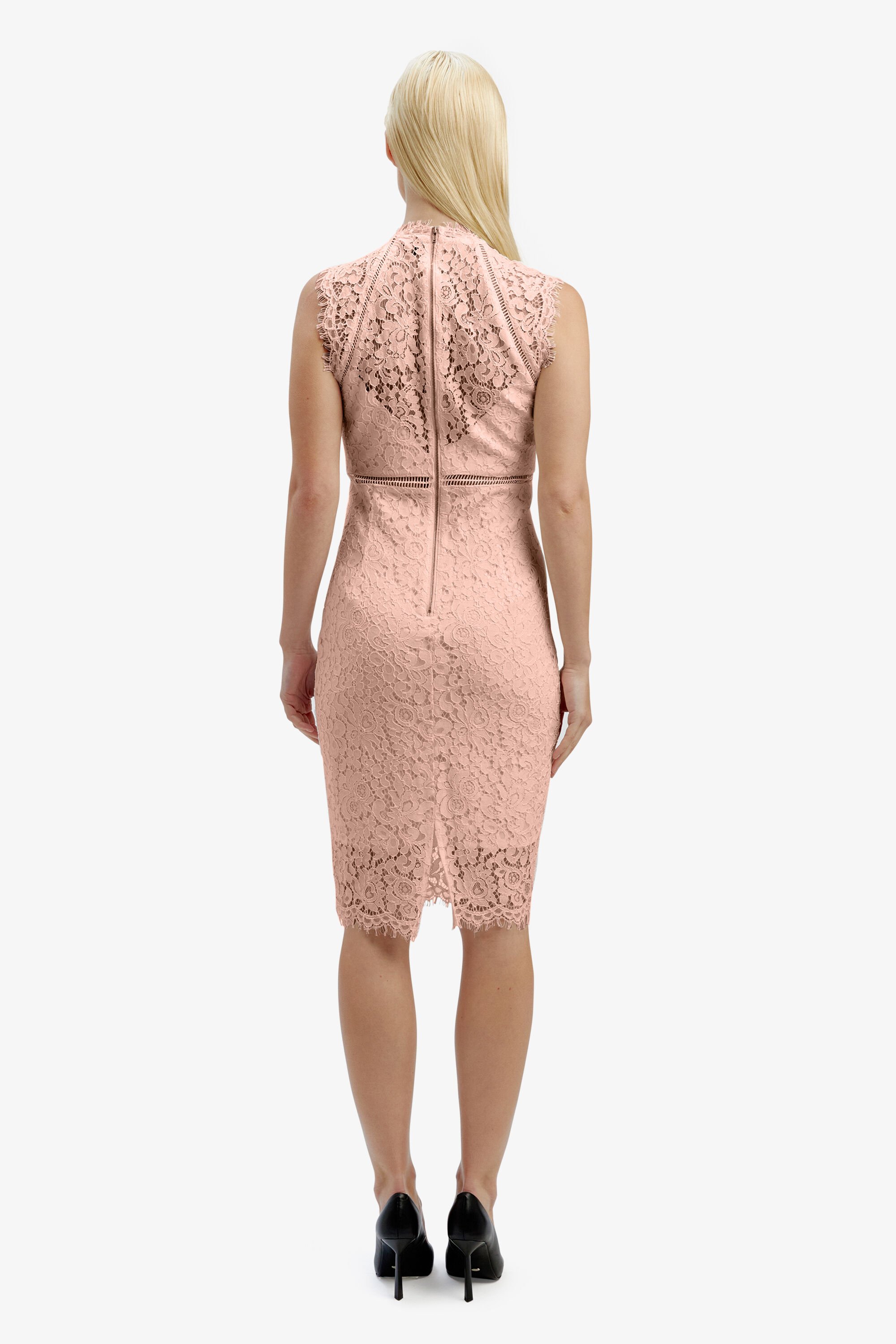 Lace Panel Dress In Pale Blush Bardot