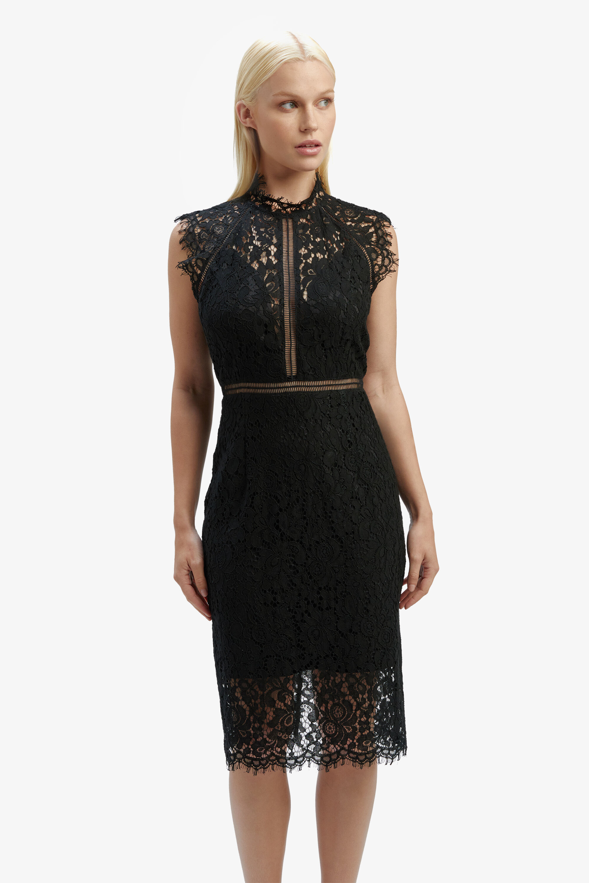 Haeden collared lace panel hot sale dress