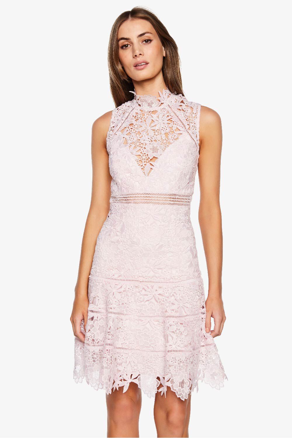 Bardot elise lace dress clearance