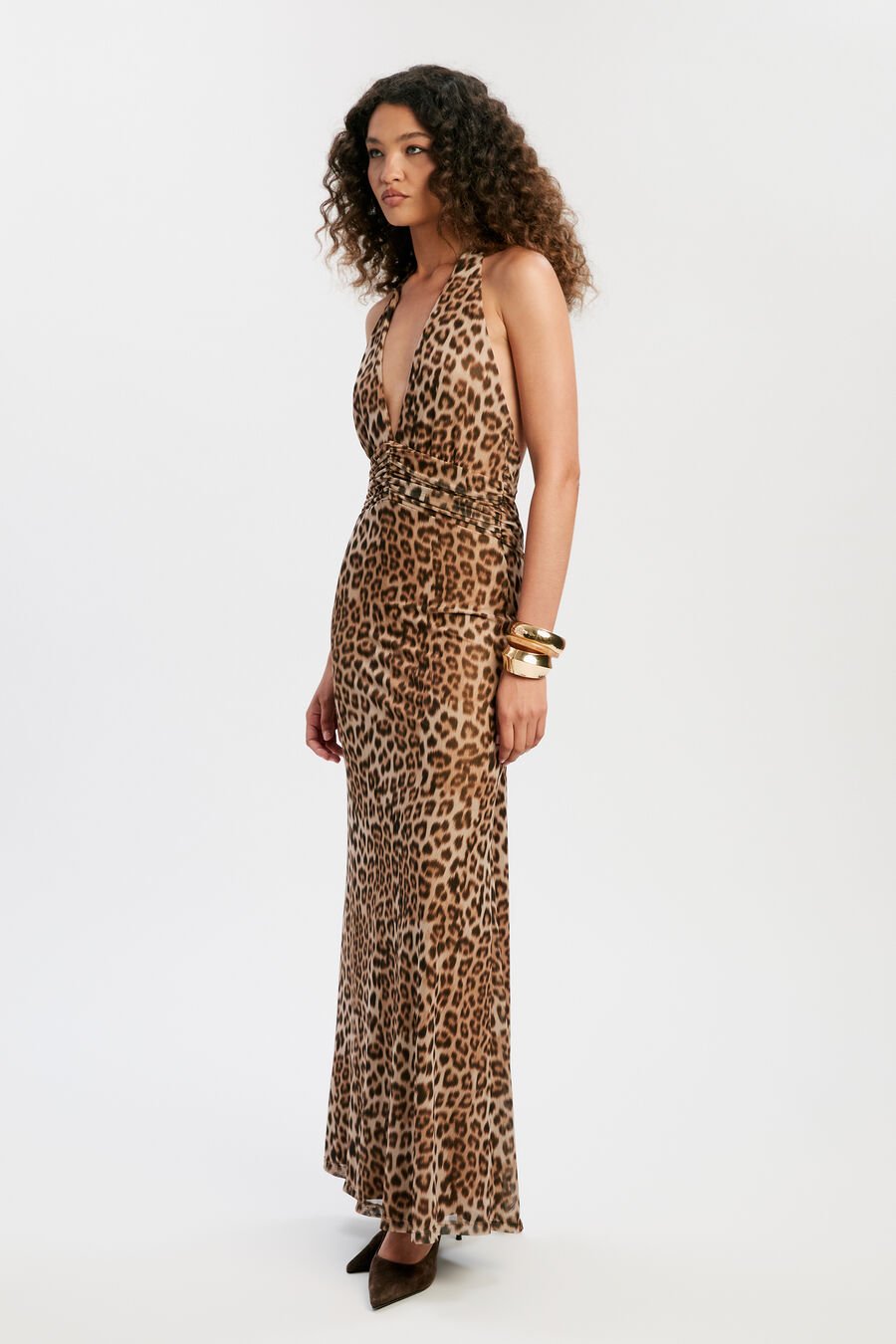 Elera Printed Mesh Maxi Dress