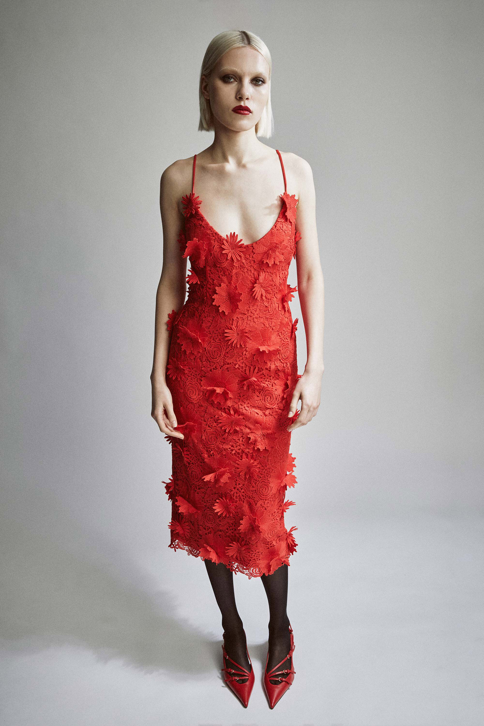 Party Dresses Shop Cocktail Event Dresses Bardot