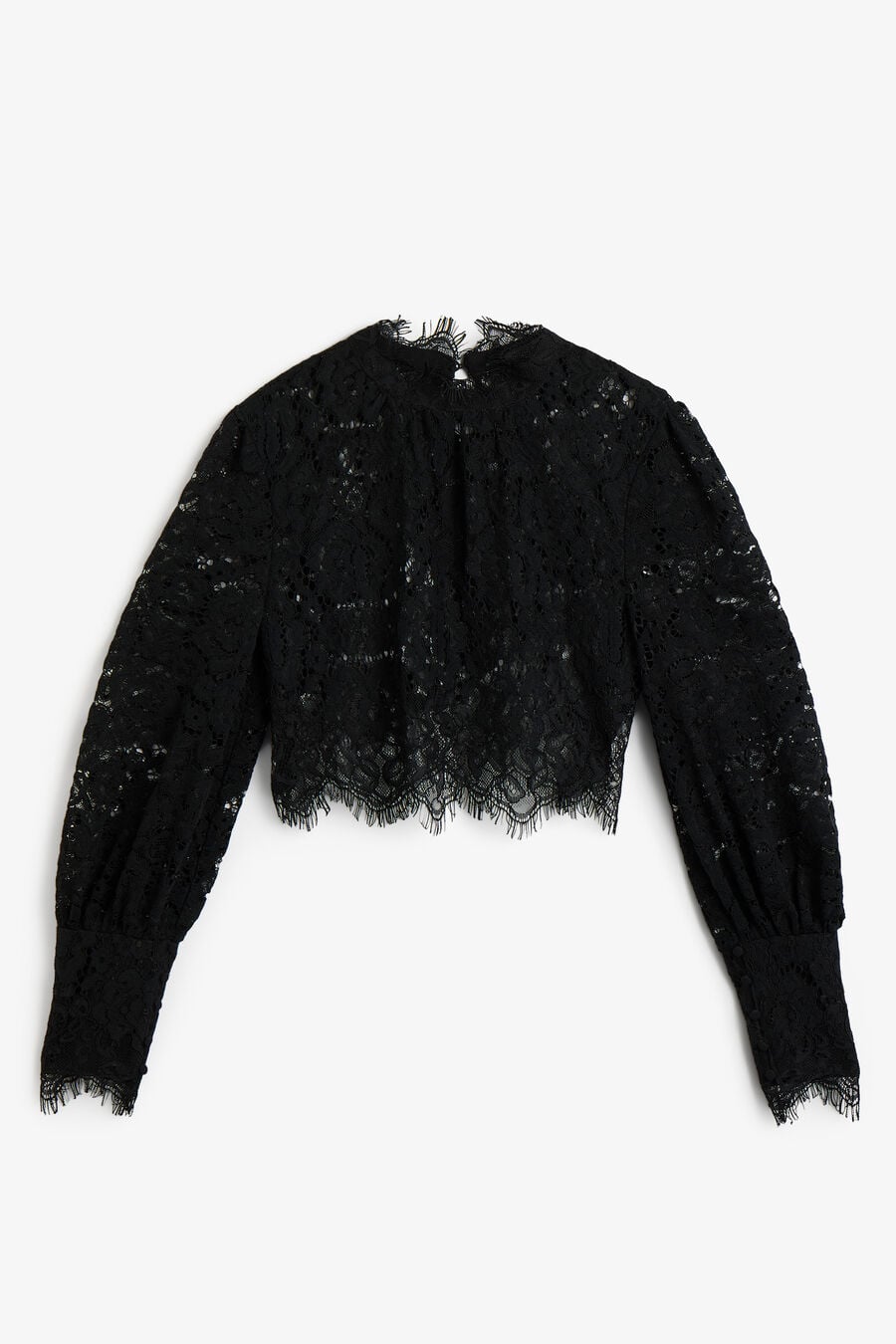 Georgia Long Sleeve Lace Top
