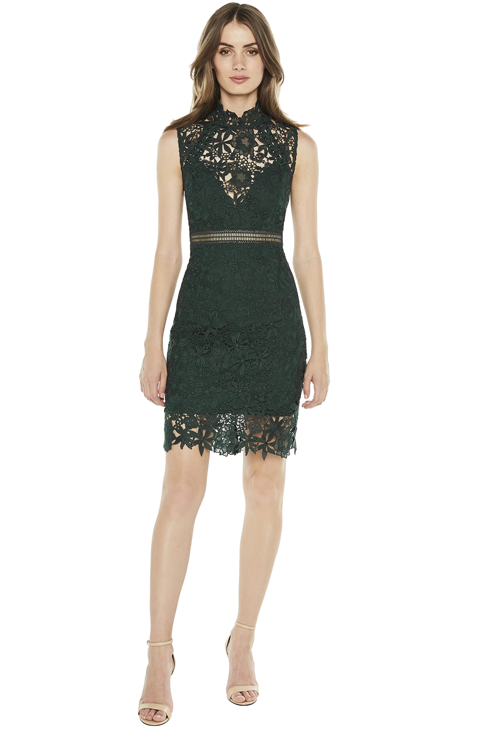 Bardot scalloped sale lace sheath dress