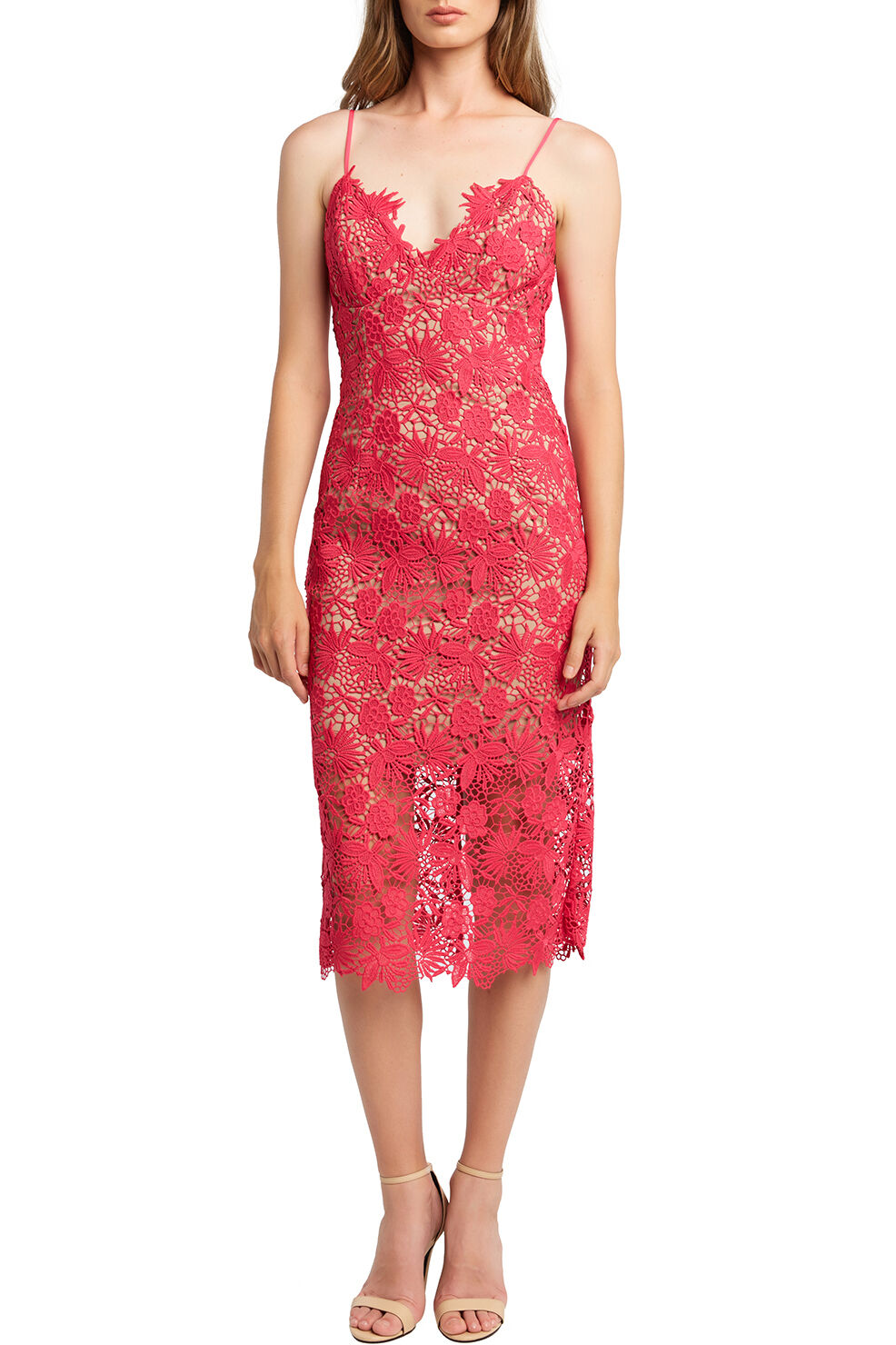 Bardot tayla lace cheap cocktail dress
