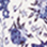 BLUE FLORL
