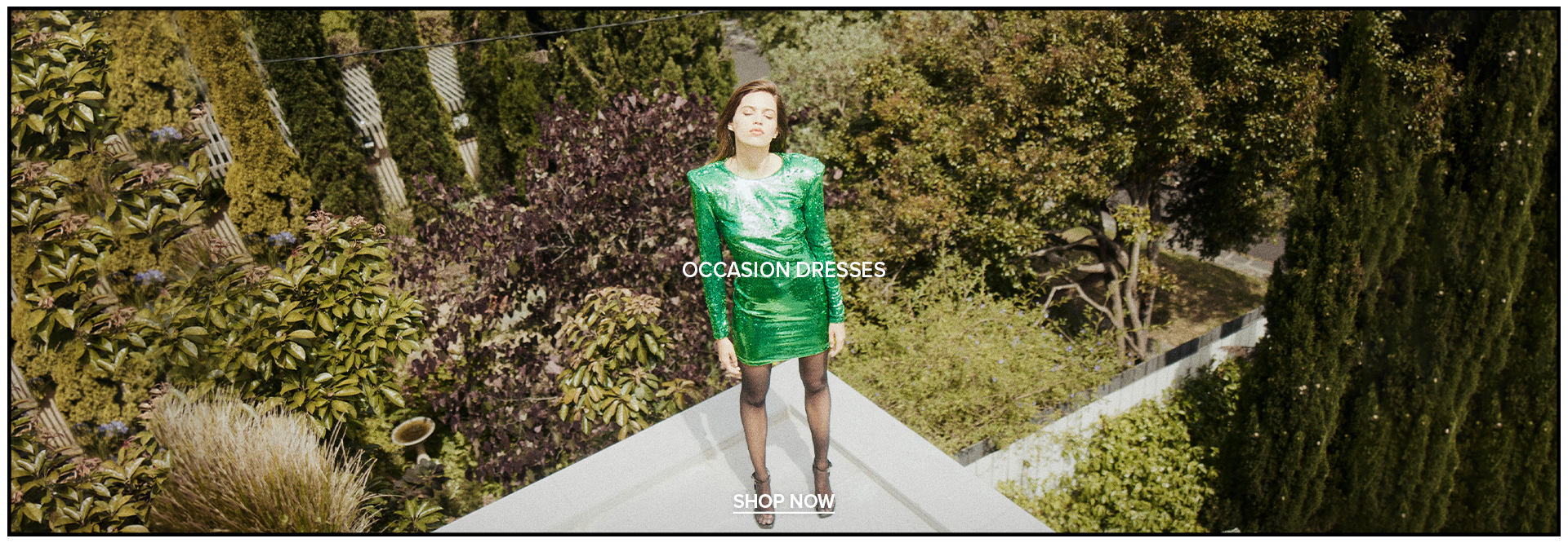 occassion